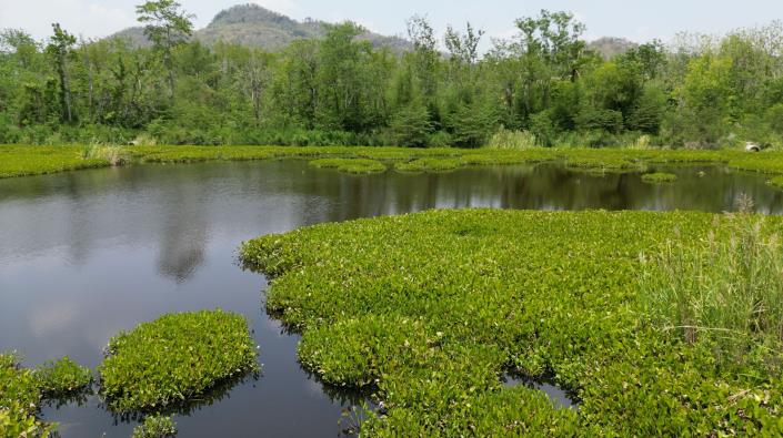 Image No.6-Land for sale