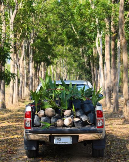 Image No.15-Land for sale