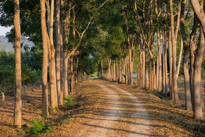 Image No.17-Land for sale