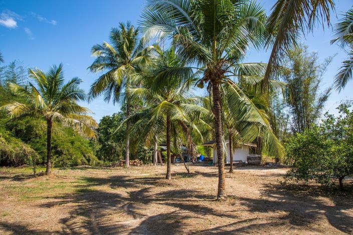 Image No.7-Land for sale