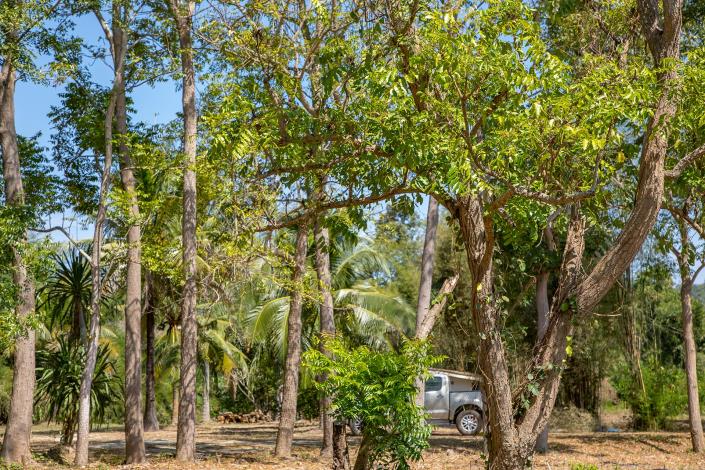 Image No.8-Land for sale