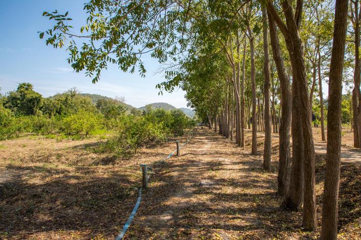 Image No.9-Land for sale