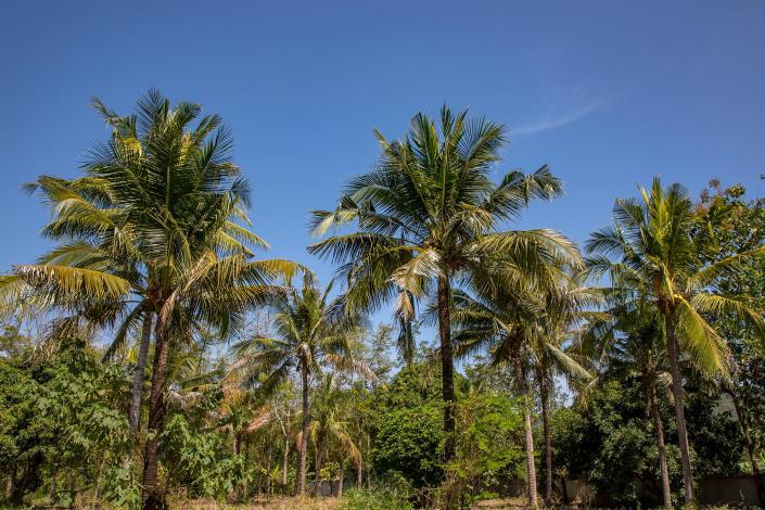 Image No.13-Land for sale