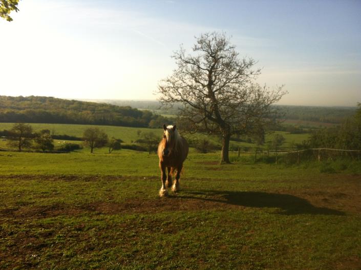 Image No.29-3 Bed Village House for sale