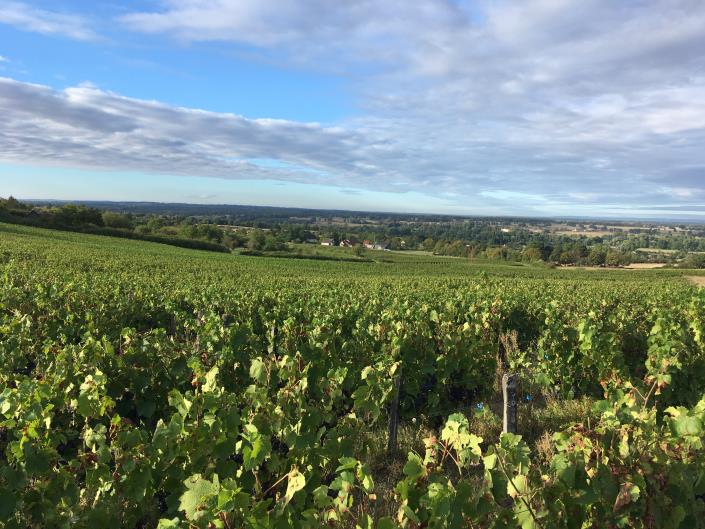 Image No.28-3 Bed Village House for sale