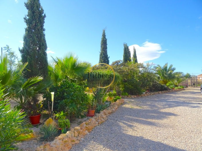 Image No.3-Maison de campagne de 7 chambres à vendre à Fuente Álamo