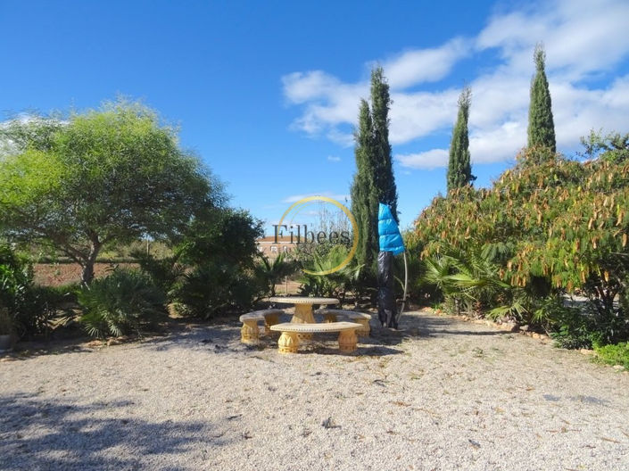 Image No.32-Maison de campagne de 7 chambres à vendre à Fuente Álamo