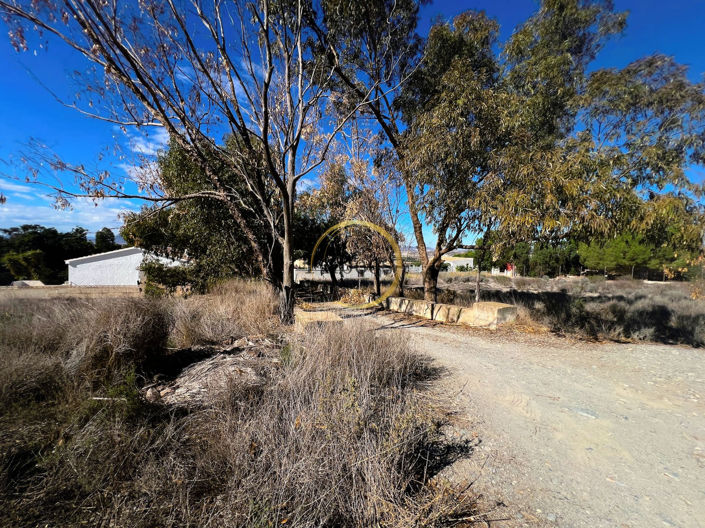 Image No.20-Maison de campagne de 4 chambres à vendre à Mazarron