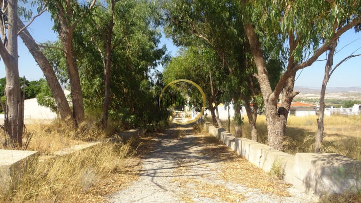 Image No.16-Maison de campagne de 4 chambres à vendre à Mazarron