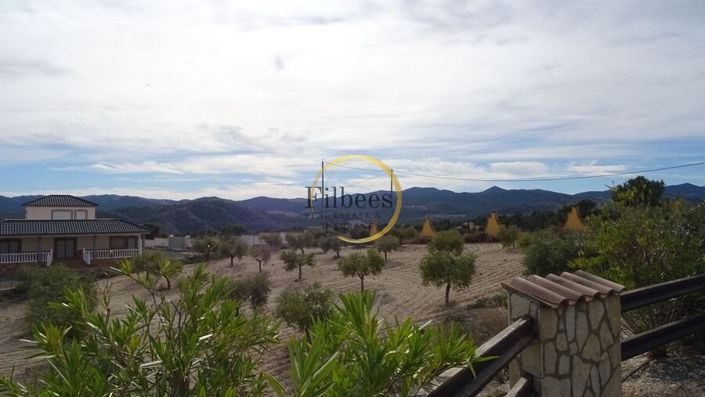 Image No.26-4 Bed Finca for sale