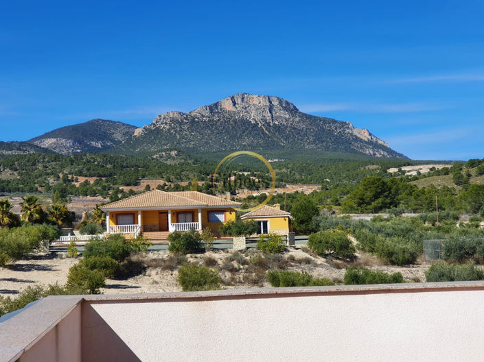 Image No.24-4 Bed Finca for sale