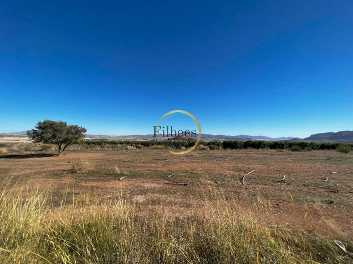 Image No.17-2 Bed Country House for sale