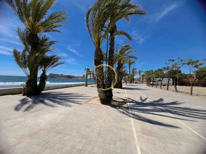 Image No.29-4 Bed Apartment for sale