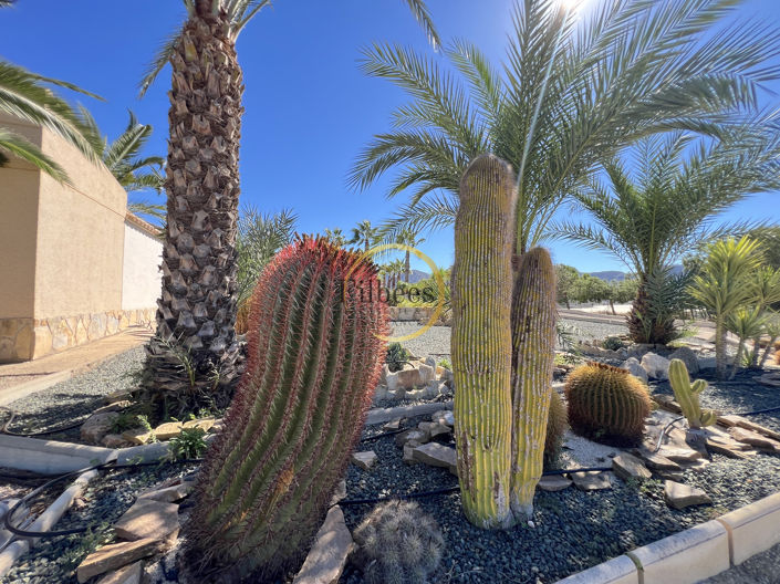 Image No.31-Maison de campagne de 5 chambres à vendre à Leiva