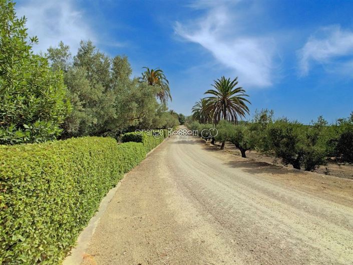 Image No.20-8 Bed Villa for sale