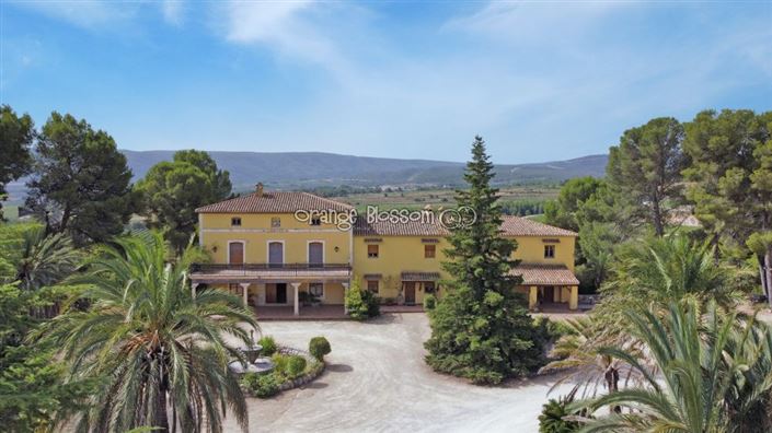 Image No.5-8 Bed Villa for sale