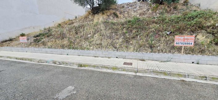 Image No.6-Propriété à vendre à Villalonga