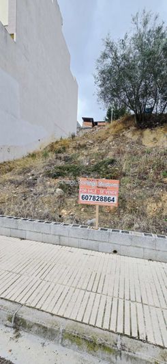 Image No.8-Propriété à vendre à Villalonga