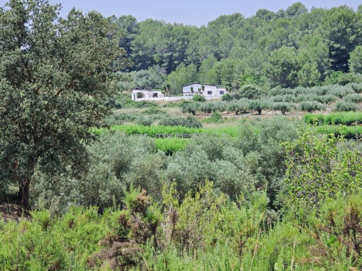 Image No.10-Villa de 3 chambres à vendre à Benigánim