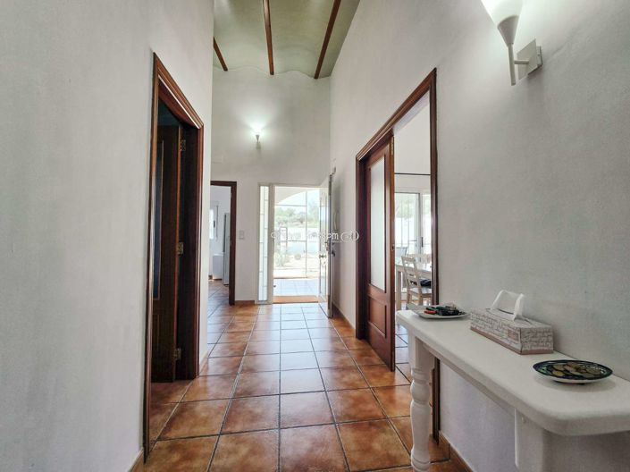 Image No.26-Villa de 3 chambres à vendre à Benigánim