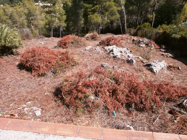 Image No.10-Terre à vendre à La Barraca d'Aigues Vives