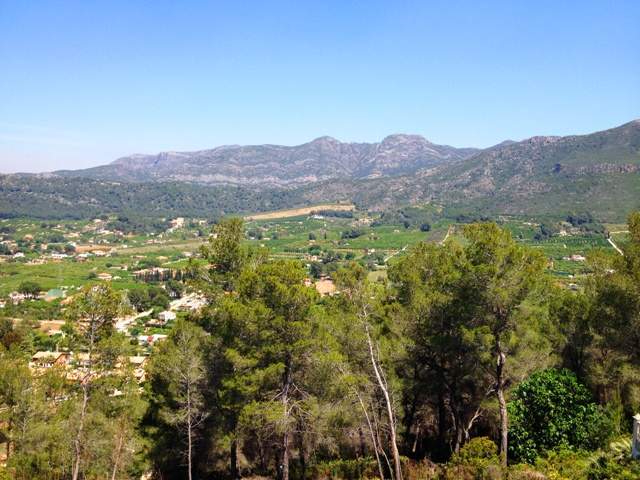 Image No.3-Terre à vendre à La Barraca d'Aigues Vives