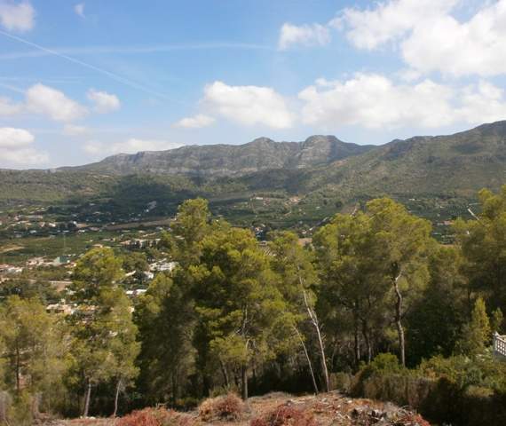 Image No.8-Terre à vendre à La Barraca d'Aigues Vives