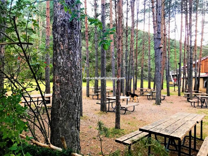 Image No.13-22 Bed Villa for sale