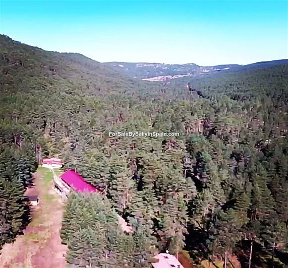 Image No.6-22 Bed Villa for sale