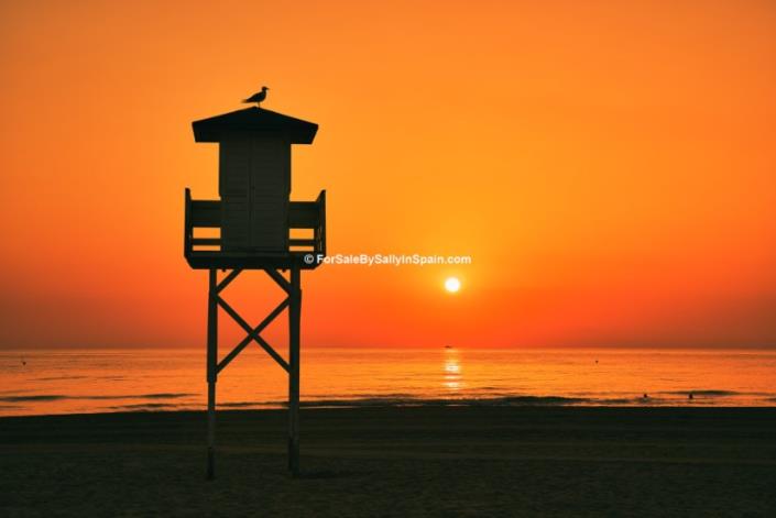 Image No.41-4 Bed Villa for sale