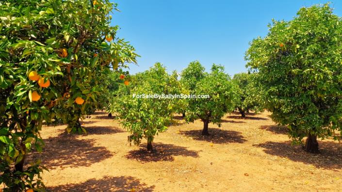 Image No.14-4 Bed Villa for sale