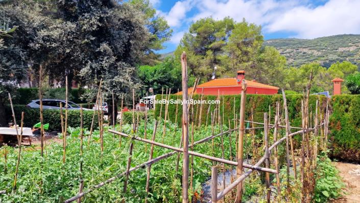 Image No.19-3 Bed Villa for sale