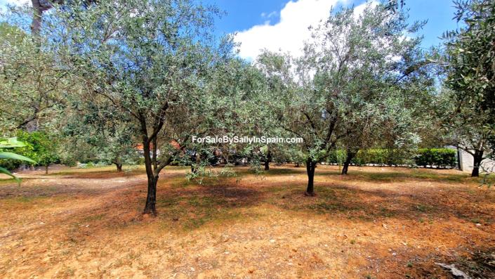 Image No.21-3 Bed Villa for sale