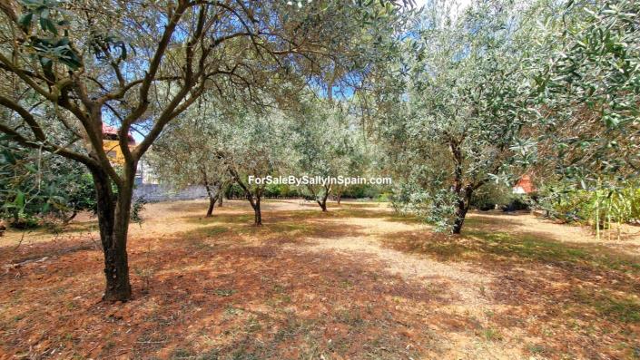 Image No.9-3 Bed Villa for sale