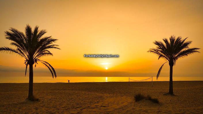 Image No.39-Villa de 5 chambres à vendre à Alzira