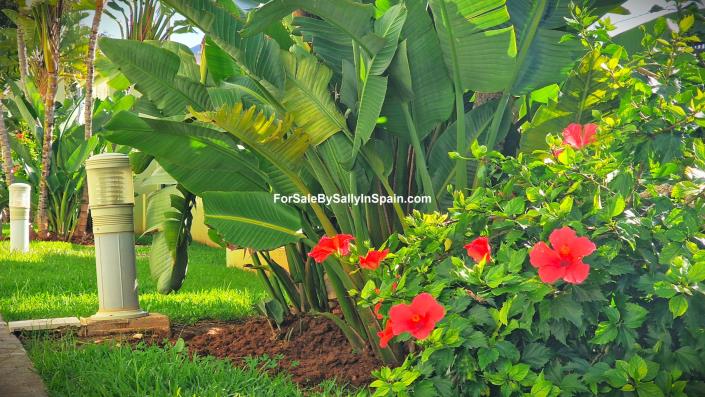 Image No.12-2 Bed Apartment for sale