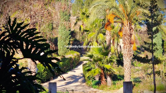 Image No.19-Finca de 8 chambres à vendre à Rafol de Salem