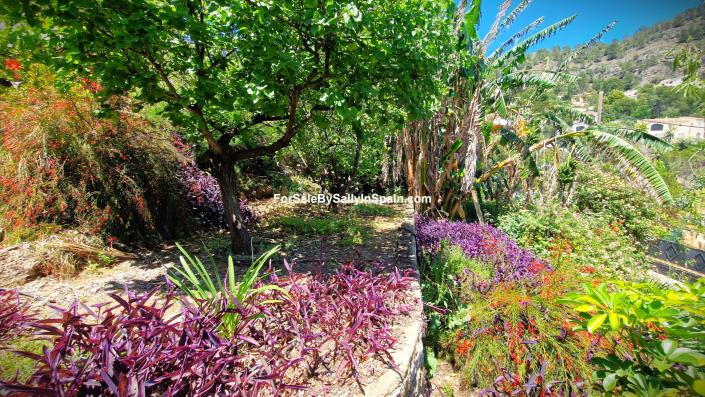 Image No.23-4 Bed Villa for sale