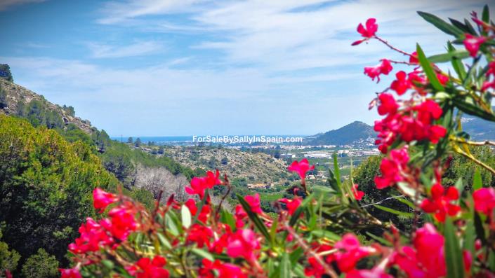 Image No.5-4 Bed Villa for sale