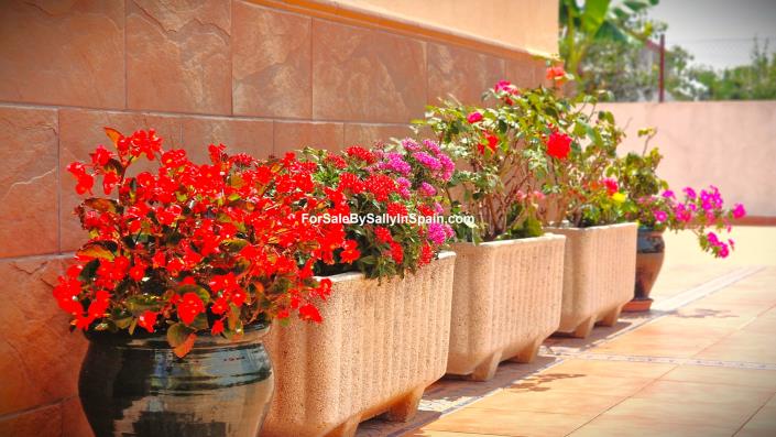 Image No.14-Villa de 4 chambres à vendre à Marxuquera