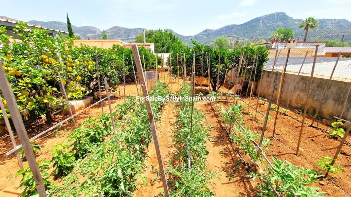 Image No.17-Villa de 4 chambres à vendre à Marxuquera