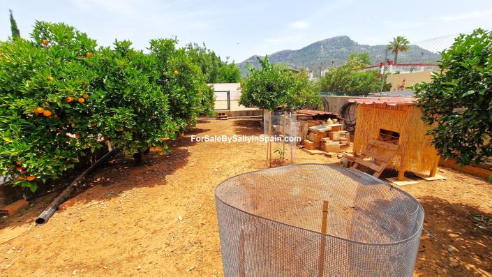 Image No.18-Villa de 4 chambres à vendre à Marxuquera