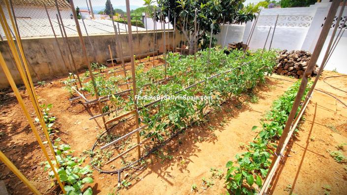Image No.58-Villa de 4 chambres à vendre à Marxuquera