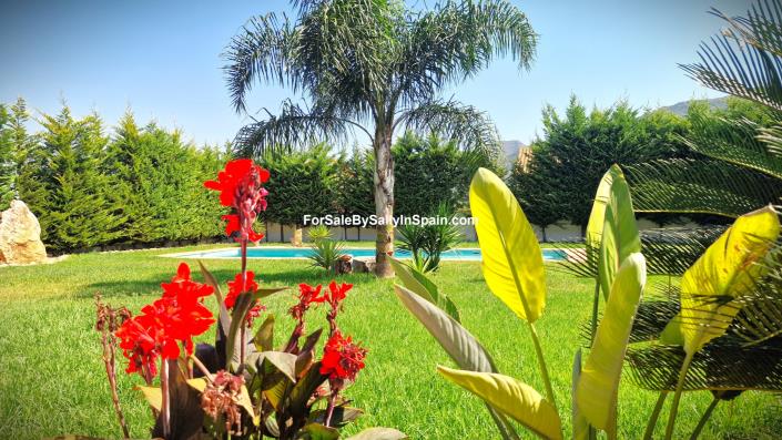 Image No.5-3 Bed Villa for sale