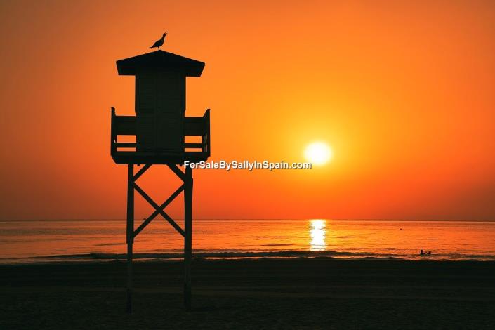 Image No.51-Villa de 3 chambres à vendre à Palma de Gandia