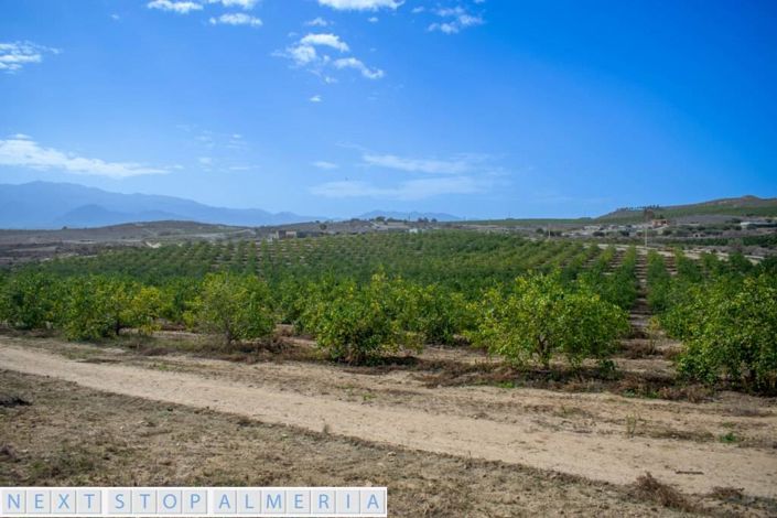 Image No.4-Propriété à vendre à Los Gallardos