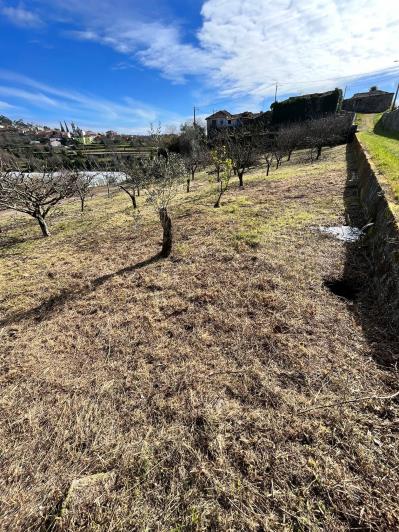 Image No.14-Ferme de 4 chambres à vendre à São Pedro do Sul