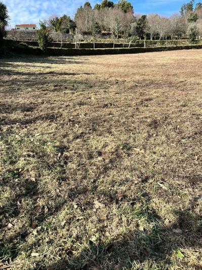 Image No.16-Ferme de 4 chambres à vendre à São Pedro do Sul