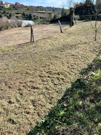 Image No.26-Ferme de 4 chambres à vendre à São Pedro do Sul