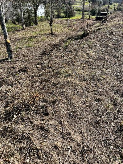 Image No.28-Ferme de 4 chambres à vendre à São Pedro do Sul
